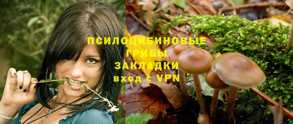 мяу мяу мука Арсеньев