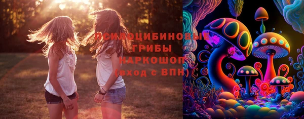 мяу мяу мука Арсеньев