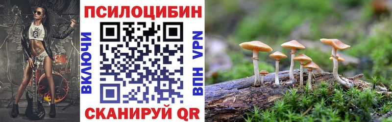 Псилоцибиновые грибы GOLDEN TEACHER  Дедовск 